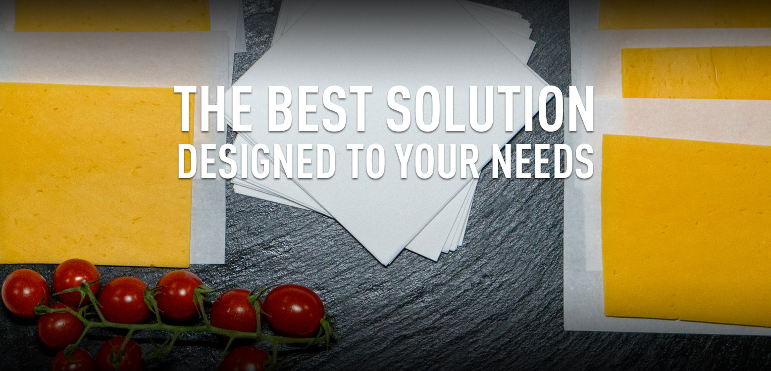 best solution ibago sur